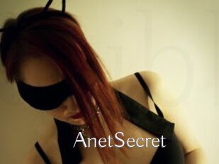 AnetSecret