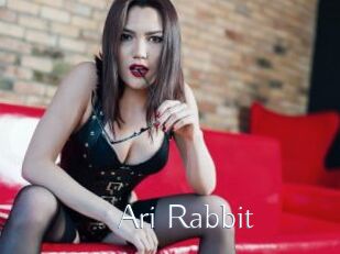 Ari_Rabbit