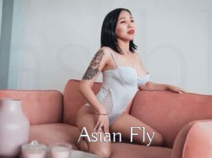 Asian_Fly