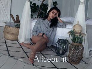 Alicebunt