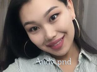 Andy_pnd