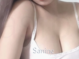 Sanine